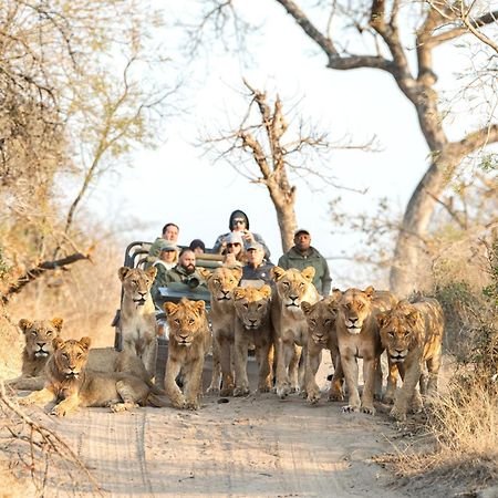 Royal Malewane Villa Thornybush vadrezervátum Kültér fotó